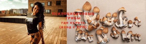 спайс Алексин