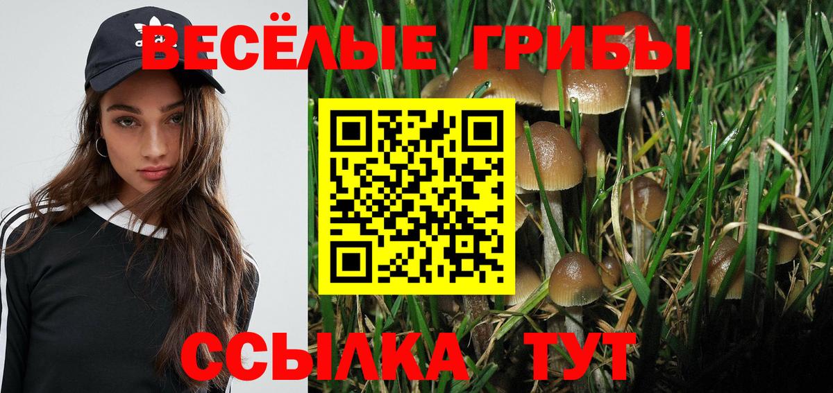 Кольчугино  Псилоцибиновые грибы Cubensis  Галлюциногенные грибы Psilocybe  Вход с VPN 