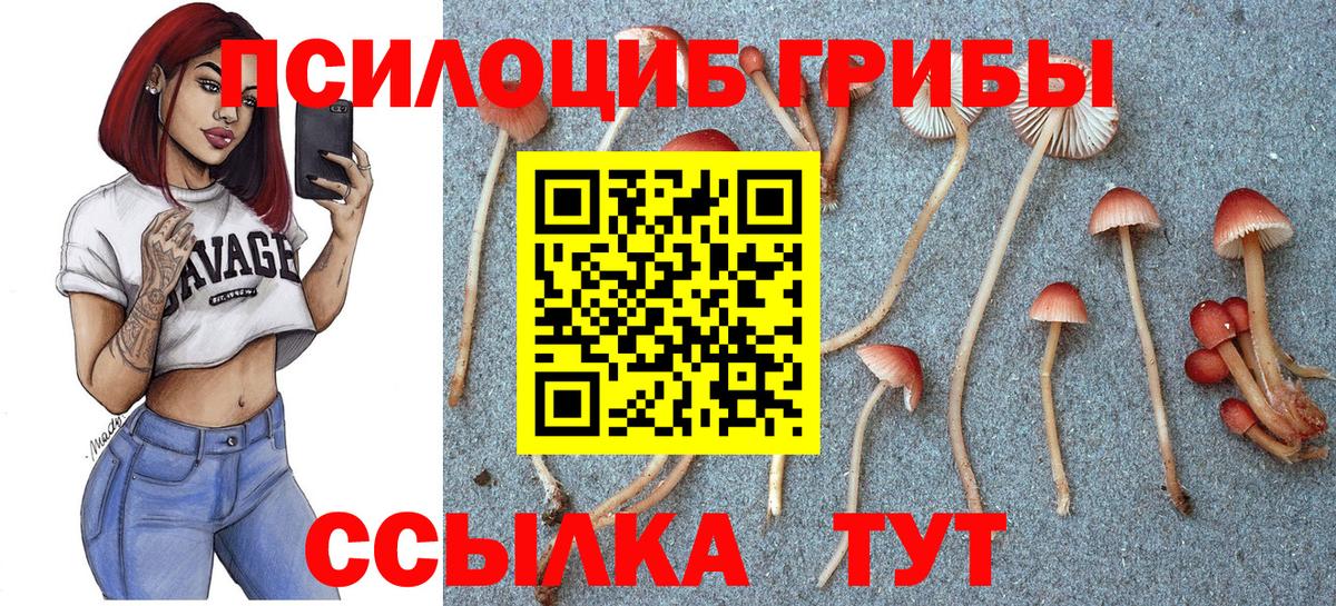 Галлюциногенные грибы прущие грибы Кольчугино